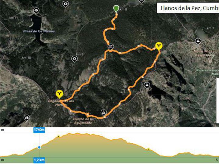 Sonne und Aktivurlaub? JA BLUME